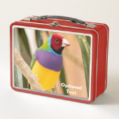 Lady Gouldian Finch (Voorkant)