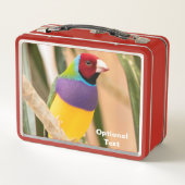 Lady Gouldian Finch (Achterkant)