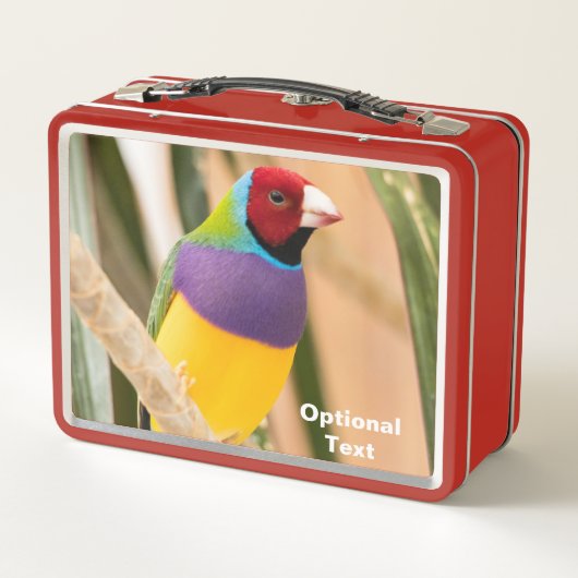 Lady Gouldian Finch (Achterkant)