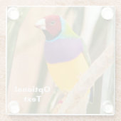 Lady Gouldian Finch Glazen Onderzetter (Achterkant)