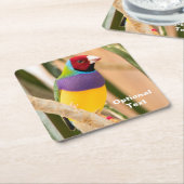 Lady Gouldian Finch Kartonnen Onderzetters (Schuin)