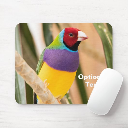 Lady Gouldian Finch Muismat (Met muis)