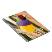 Lady Gouldian Finch Notitieboek (Rechterzijde)