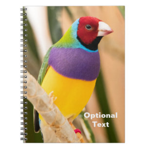 Lady Gouldian Finch Notitieboek