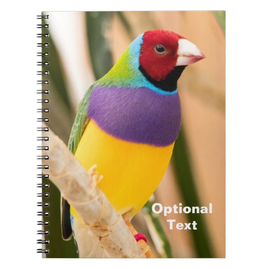 Lady Gouldian Finch Notitieboek (Voorkant)