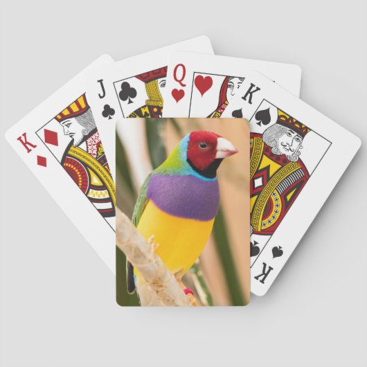 Lady Gouldian Finch Pokerkaarten (Achterkant)