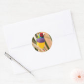 Lady Gouldian Finch Ronde Sticker (Envelop)