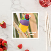 Lady Gouldian Finch Servet (Insitu)