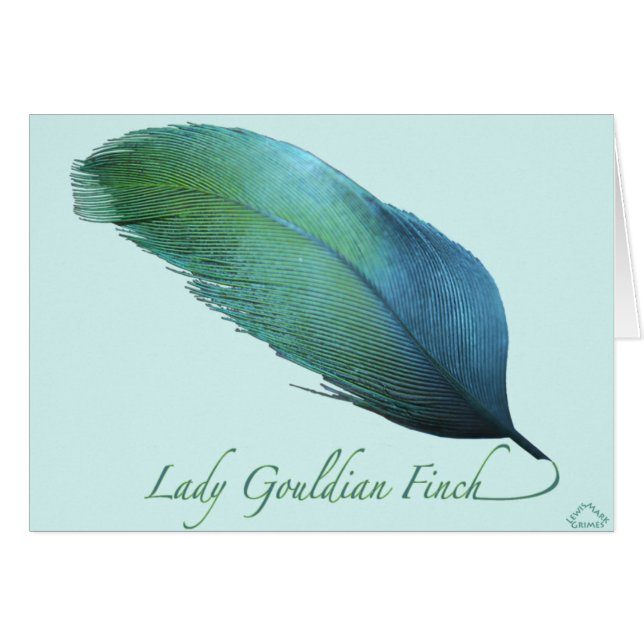 Lady Gouldian Finch Tail (Voorkant Horizontaal)