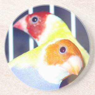 Lady Gouldian Finch Zandsteen Onderzetter