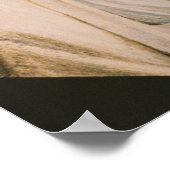 Lady Hamilton Poster (Hoek)