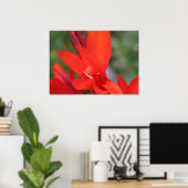 "Lady in Red" Rood Canna Lily Closeup Poster (Thuiskantoor)