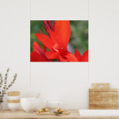 "Lady in Red" Rood Canna Lily Closeup Poster (Keuken)