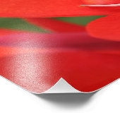 "Lady in Red" Rood Canna Lily Foto afdrukken (Hoek)