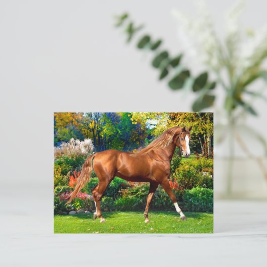 Lady Jane  Briefkaart (Staand voorkant)