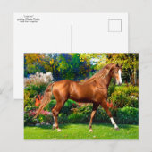 Lady Jane  Briefkaart (Voorkant / Achterkant)