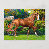 Lady Jane  Briefkaart (Voorkant)