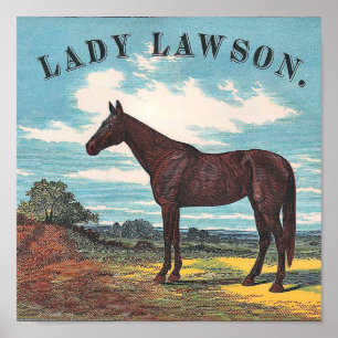 Lady Lawson  Racing Horse Poster