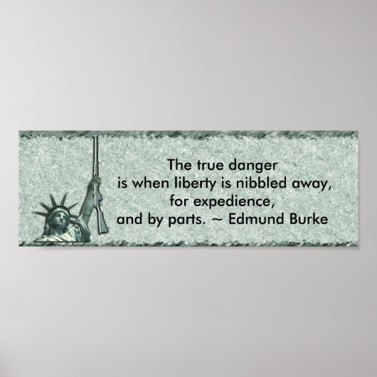 LADY LIBERTY - BUMPERSTICKER - EDMUND BURKE QUOTE POSTER (Voorkant)