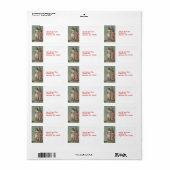 Lady Liberty met vlag  Adresetiketten Etiket (Full Sheet)