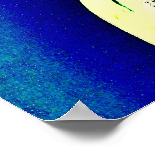 Lady Liberty Poster (Hoek)