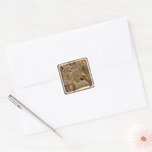 Lady Lioness Sticker (Envelop)