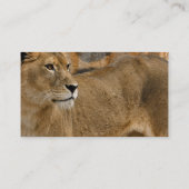 Lady Lioness Visitekaartjes (Achterkant)