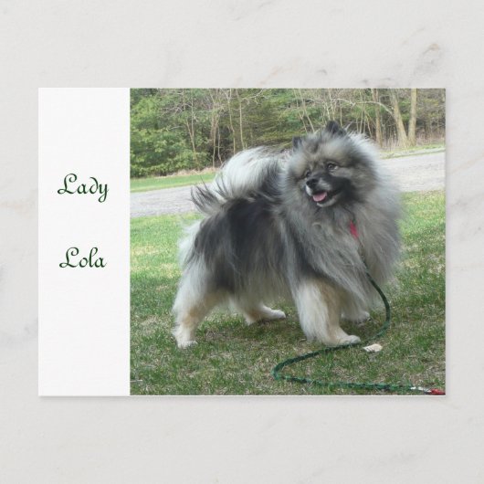 Lady Lola Postcard Briefkaart (Voorkant)