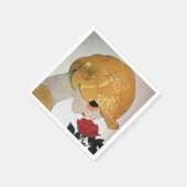 LADY MET ROSE ROSE SERVETTEN (Hoek)
