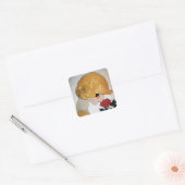 LADY MET ROSE ROSE VIERKANTE STICKER (Envelop)