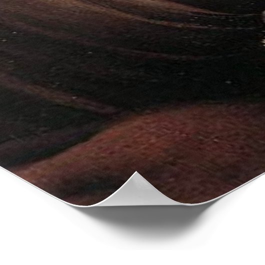 Lady met Veil Poster (Hoek)