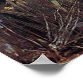 Lady of Shalott Poster (Hoek)