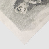  Lady Olivia Black en White Tissue Paper Tissuepapier (Detail)