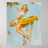 Lady Picking Peaches Pinup Poster (Voorkant)