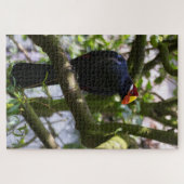 Lady Ross's Turaco Legpuzzel (Horizontaal)