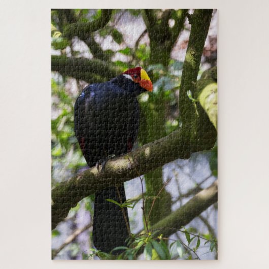 Lady Ross's Turaco Legpuzzel (Verticaal)
