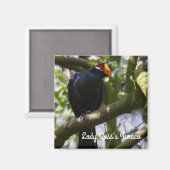 Lady Ross's Turaco Magneet (Voorkant / Achterkant)
