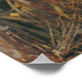 Lady Shalott 1888 Poster (Hoek)