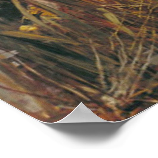 Lady Shalott 1888 Poster (Hoek)