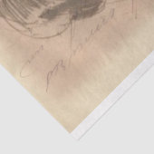 Lady Sketch-debetpapier Tissuepapier (Detail)