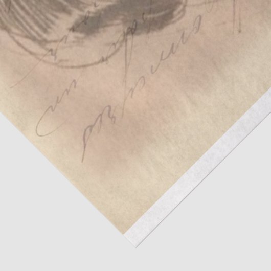 Lady Sketch-debetpapier Tissuepapier (Detail)