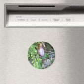 Lady Slipper 2 Magneet (Insitu (Vaatwasser))