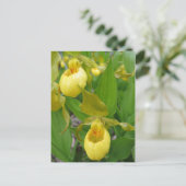 Lady Slipper Briefkaart (Staand voorkant)