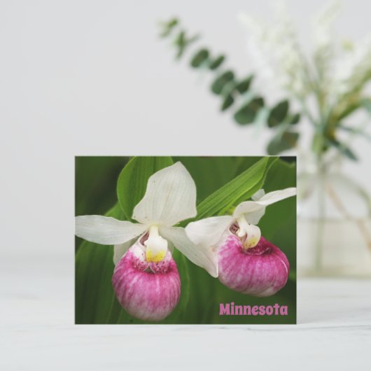 Lady Slipper-Briefkaart Briefkaart (Staand voorkant)
