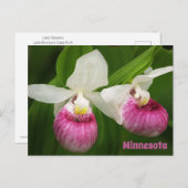 Lady Slipper-Briefkaart Briefkaart (Voorkant / Achterkant)