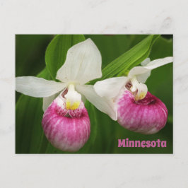 Lady Slipper-Briefkaart Briefkaart