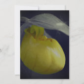 Lady Slipper Floral Party Kaart (Achterkant)