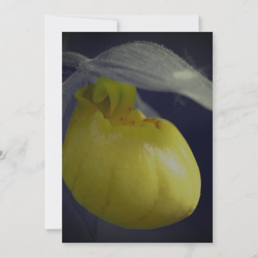 Lady Slipper Floral Party Kaart (Achterkant)