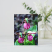 Lady Slipper I, roze groene tuin Briefkaart (Staand voorkant)
