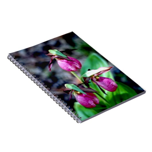 Lady Slipper I, roze groene tuin Notitieboek (Rechterzijde)